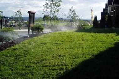 Black Diamond Sprinkler Repair Professional Black Diamond sprinkler system repair in WA near 98010