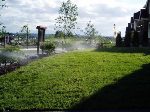 Sprinkler-Repair-Newcastle-WA