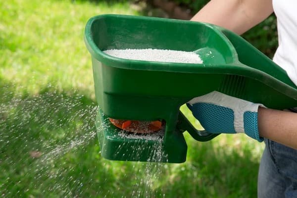 Lawn-Care-Tips-Sammamish-WA