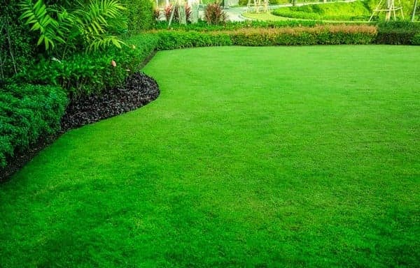 Lawn-Service-Issaquah-WA