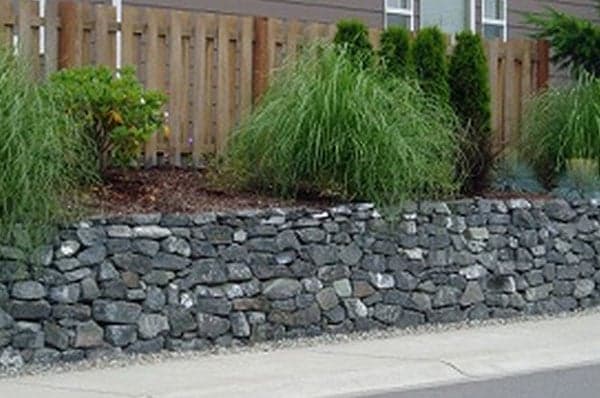 Summer-Lawn-Care-Federal-Way-WA