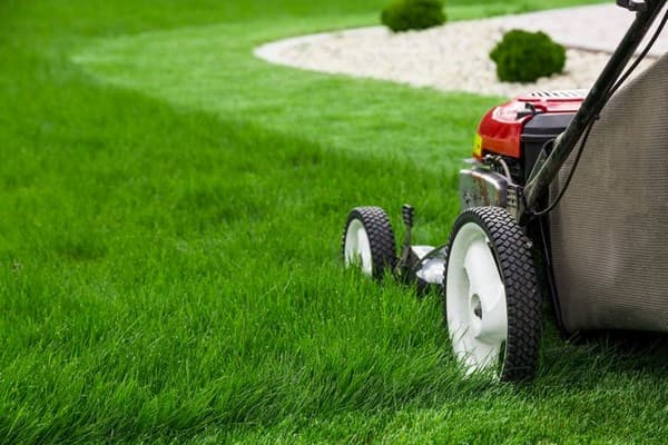 Summer-Lawn-Care-Sammamish-WA