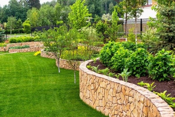 Tree-Planting-Services-Mercer-Island-WA