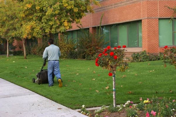 Lawn-Care-Tips-Kirkland-WA