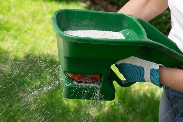 Lawn-Service-Maple-Valley-WA