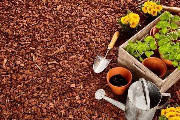 Landscape-Construction-Edgewood-WA