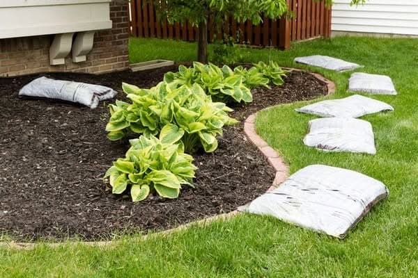 Landscape-Installation-Edgewood-WA