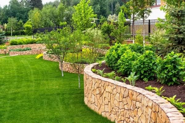 Landscaping-Trees-Woodinville-WA