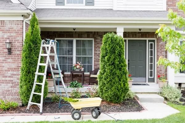 Planting-Trees-Woodinville-WA