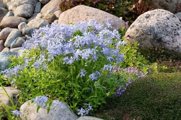 Rockery-Boulders-Snoqualmie-WA