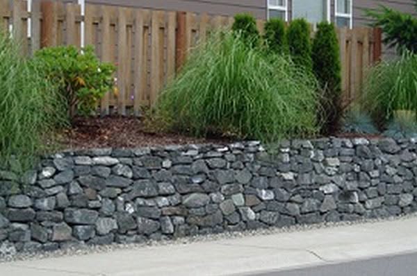 Summer-Lawn-Care-Federal-Way-WA