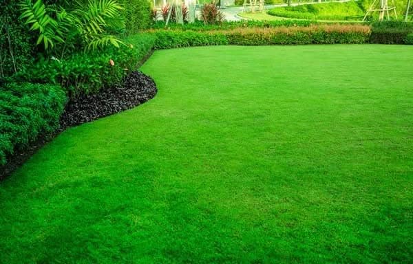 Lawn-Service-Kirkland-WA