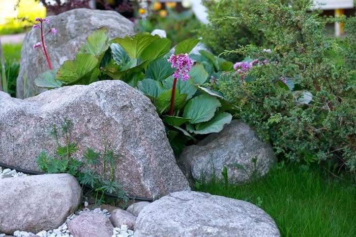 Boulder-Retaining-Wall-Woodinville-WA