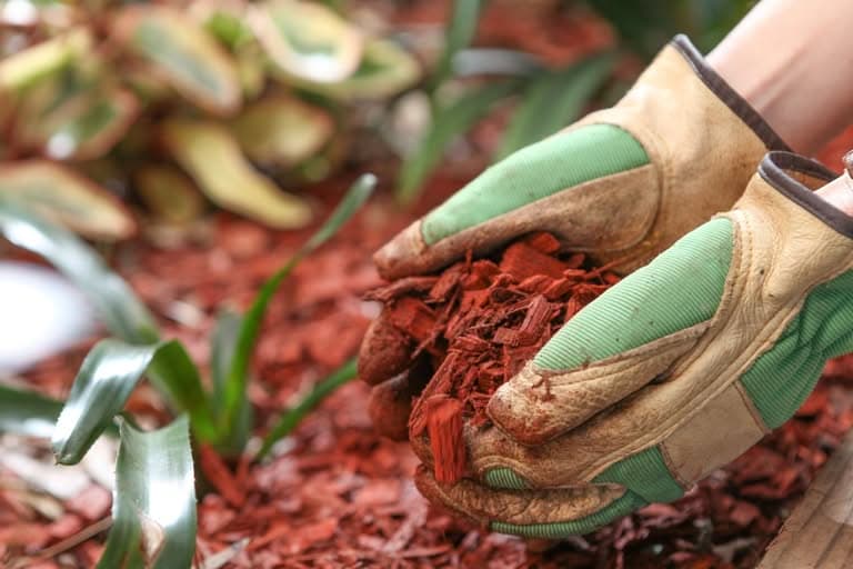 Landscape-Mulch-Puyallup-WA