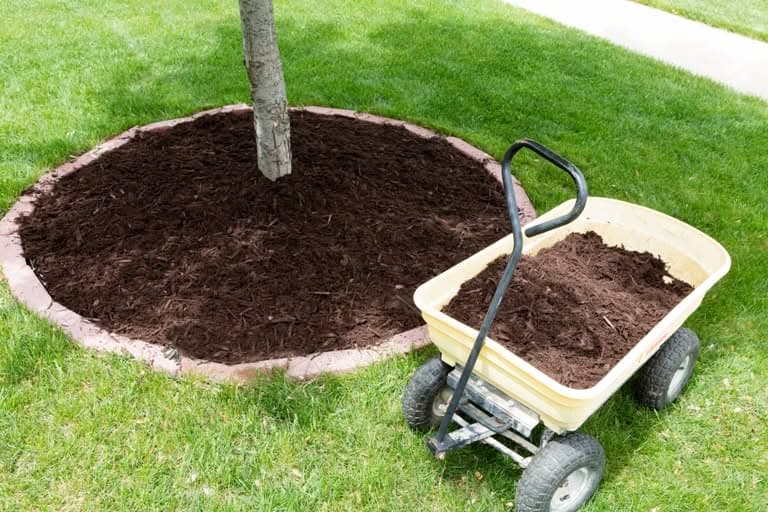 Mulch-Installation-Fairwood-WA