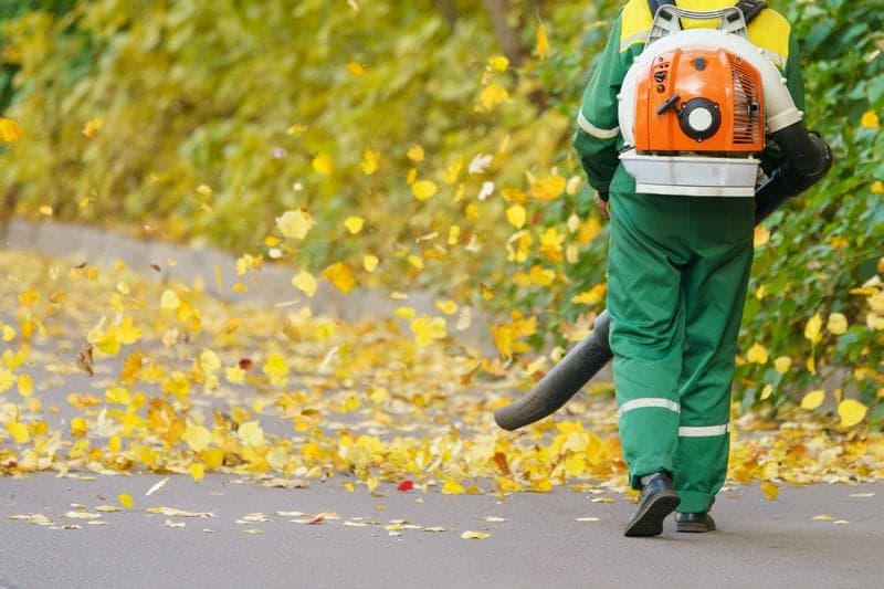 Leaf-Clean-Up-Issaquah-WA