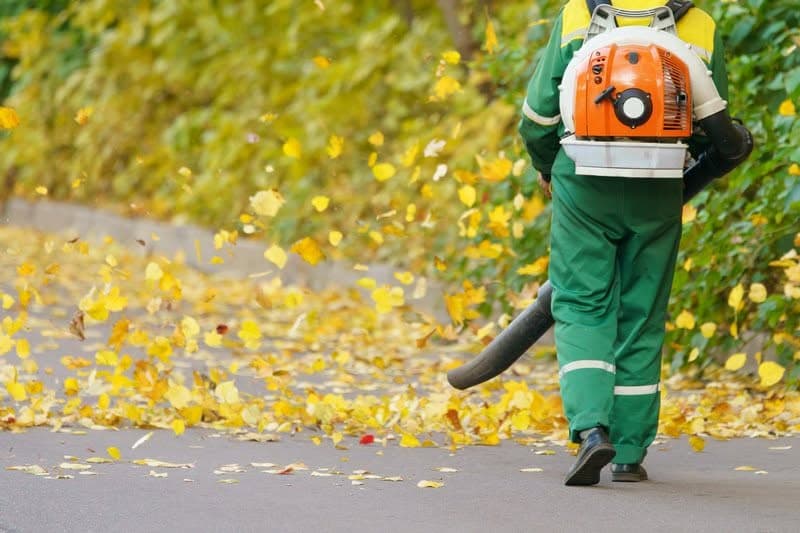 Leaf-Clean-Up-Ravensdale-WA