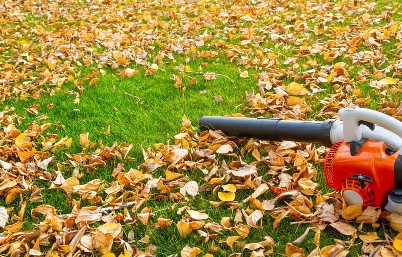 Leaf-Clean-Up-Sammamish-WA