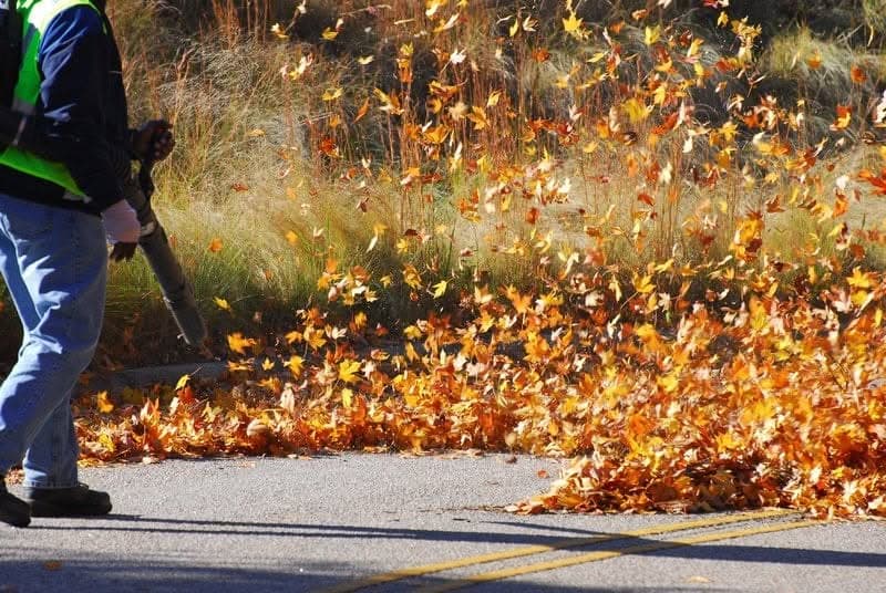 Leaf-Removal-SeaTac-WA