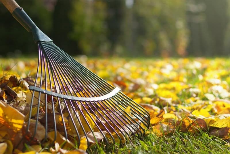 Raking-Leaves-Issaquah-WA