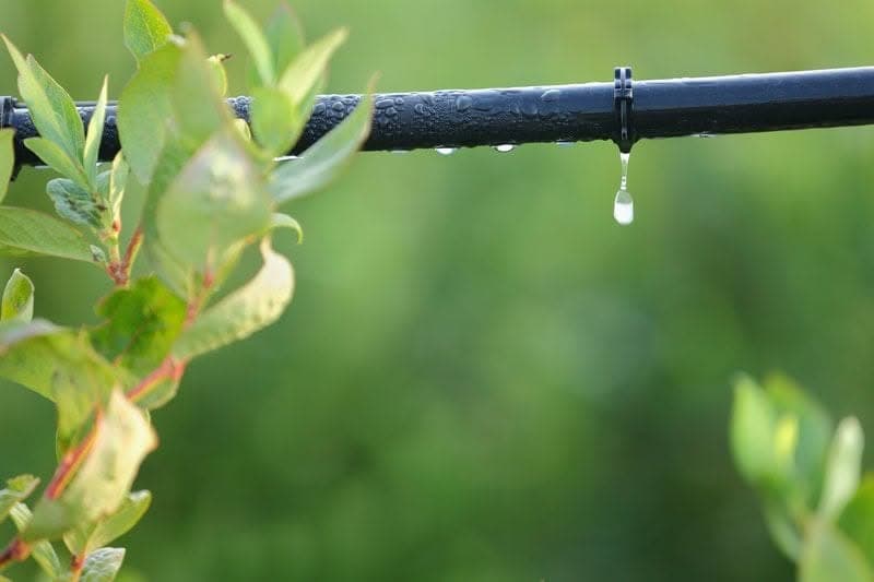 Sprinkler-Winterization-Snoqualmie-WA
