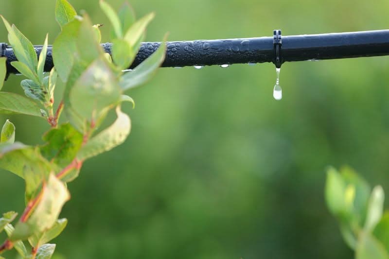 Winterize-Sprinkler-System-SeaTac-WA