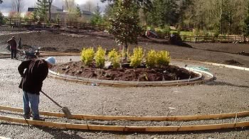 Lawn-Care-Renton-WA