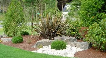 Lawn-Maintenance-Renton-WA
