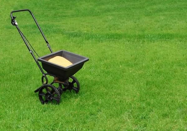 Lawn-Service-Kent-WA