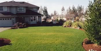 Lawn-Services-Renton-WA