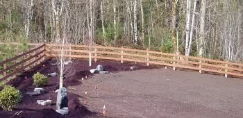 Overseeding-Maple-Valley-WA