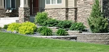 Sod-Installation-Maple-Valley-WA