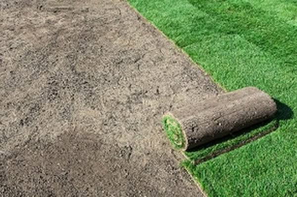 Sod-Maple-Valley-WA