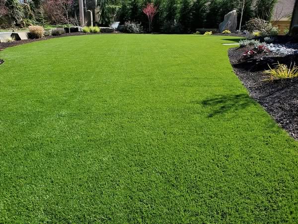 Spring Turf