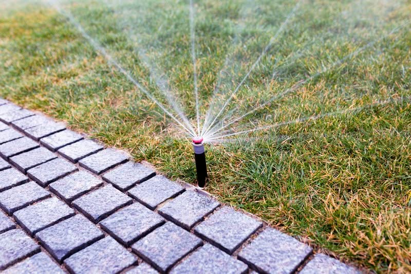 Sprinkler-Winterization-Maple-Valley-WA