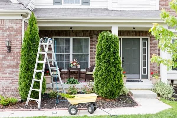 Tree-Planting-Services-North-Bend-WA