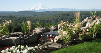 Ravensdale Tree Service