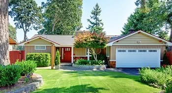Tree-Trimming-Renton-WA