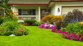 Water-Line-Replacement-Renton-WA