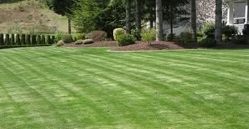 Front-Yard-Landscaping-Kent-WA