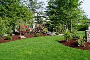 Orting Grass Hydroseeding
